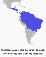 range Harpy Eagle