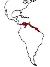 Scarlet Ibis map