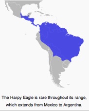 range Harpy Eagle
