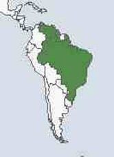 Green Aracari map