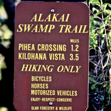 Alakai Swamp Trail 2264