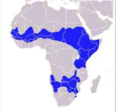 Red-billed Hornbill Map
