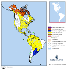 American Golden Plover migration