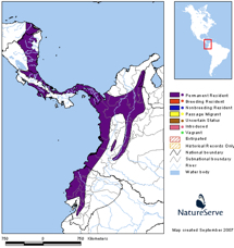 Chestnut-mandibled Toucan map