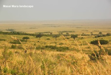 03q Masa Mara landscape.jpg