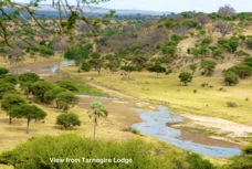 09b View from Lodge Tangangire River by.jpg