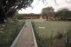 11f Serengeti Safari Lodge.jpg