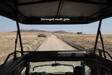 11k Serengeti south gate.jpg