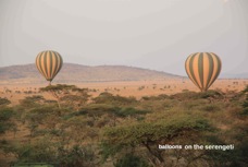 11n Serengeti balloons  .jpg