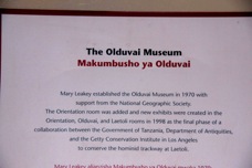 12o Olduvai Gorge museum.jpg