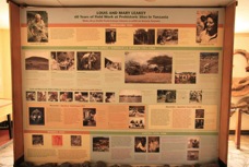 12p Olduvai Gorge museum.jpg