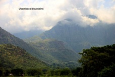 14  Usambara Mountains.jpg