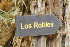 Savegre Mountain Resort Los Robles trail  2536