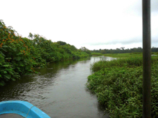 Cano Negro tributary
