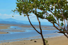 Punta Leona Costa Rica coast nearby  8940