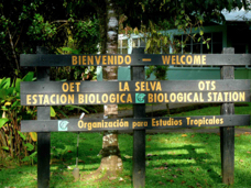 Selva Verde Biological Station 30627