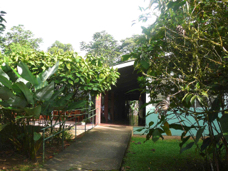 Selva Verde Biological Station reception 30626