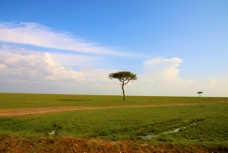 03s Masai Mara landscape