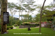 04b Lodge at Nakuru