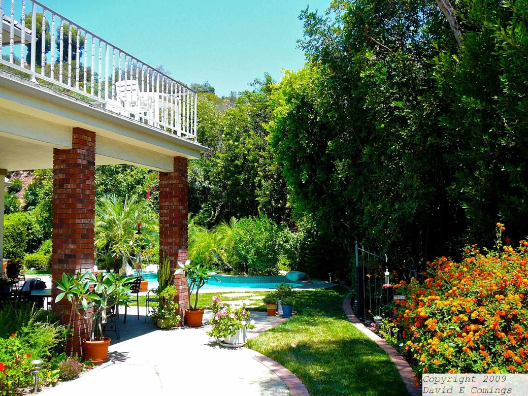  Comings' Back Yard