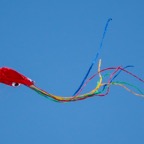 Kite-210.jpg