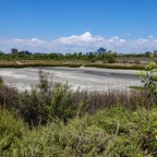 San Joaquin Preserve at low water-232.jpg