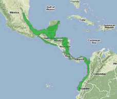 Great Curassow map