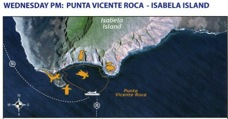 5P Isabela Island Punta Vicente Roca