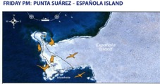 7P Espanola Island Punta Suarez