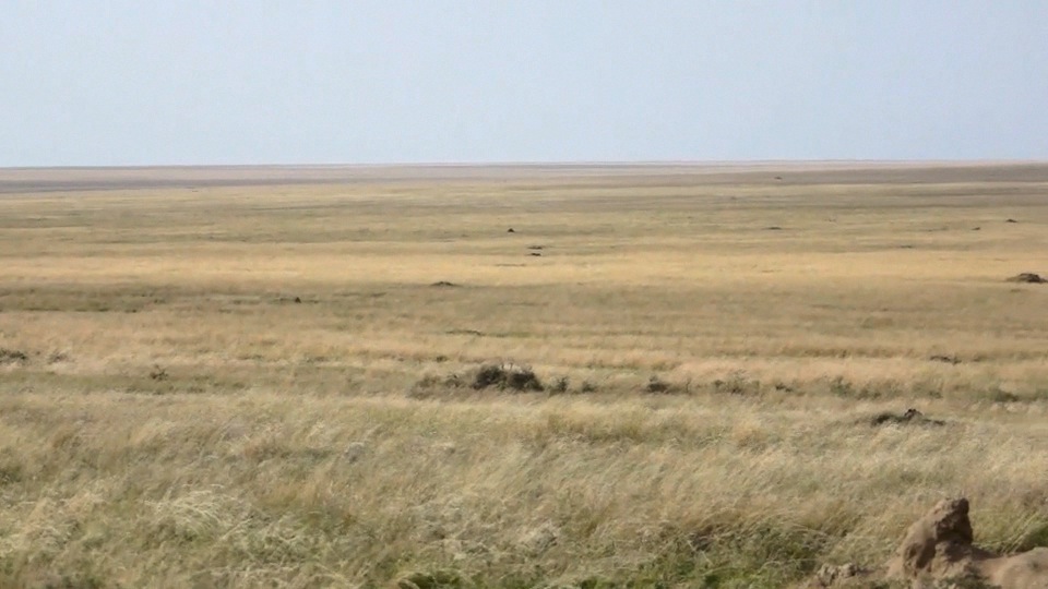 Serengeti The Endless Plain.m4v
