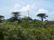 Light House on Tiritiri Matangi 143