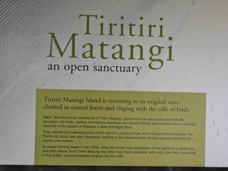 Tiritiri Matangi 9737