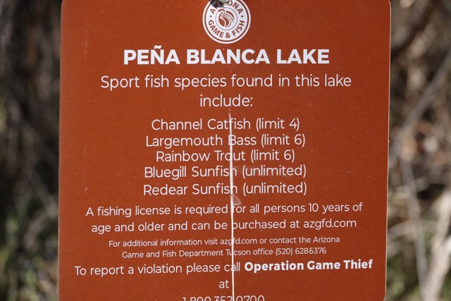 Pena Blanca Lake-63.jpg