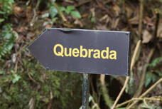 Savegre Quebrada Trail sign 1734