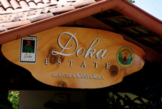 Coffee Plantation Doka 6716